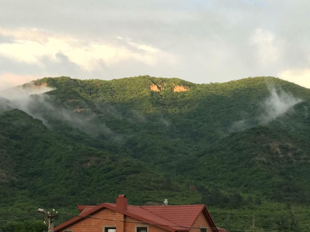 Willa Aragvi Valley Tsitelsopeli Zewnętrze zdjęcie